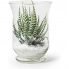 Vase en verre transparent