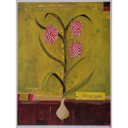 Image " Fritillaria" Sandrine Gayet