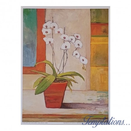 Image "Coral Orchid" Claire Lerner