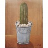 Image "Echinopsis cactus"M. Gordon