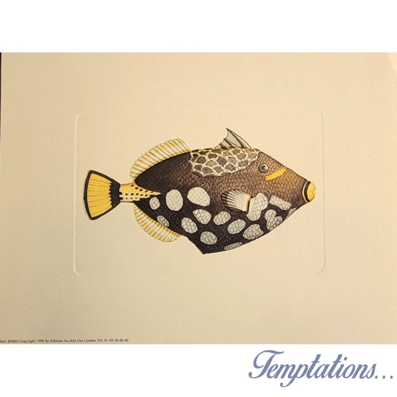 Image"Poisson exotique"