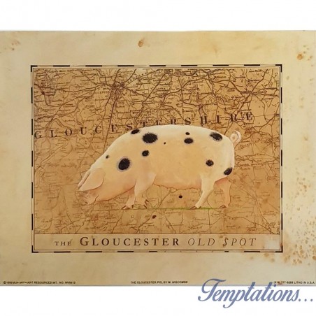 Image " The Gloucester old Spot" M.Wiscombe