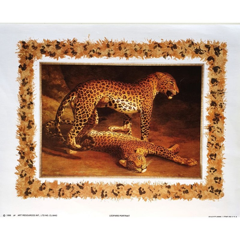 Image " Leopard portrait"