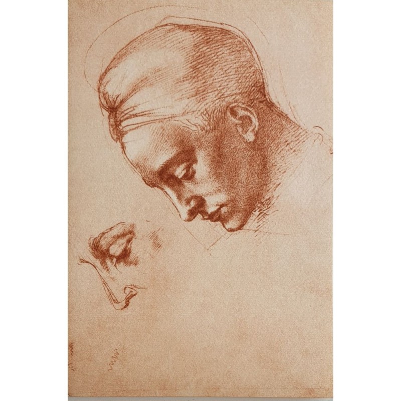 Carte double Rossi " Etude des têtes " Michelangelo Buonarroti