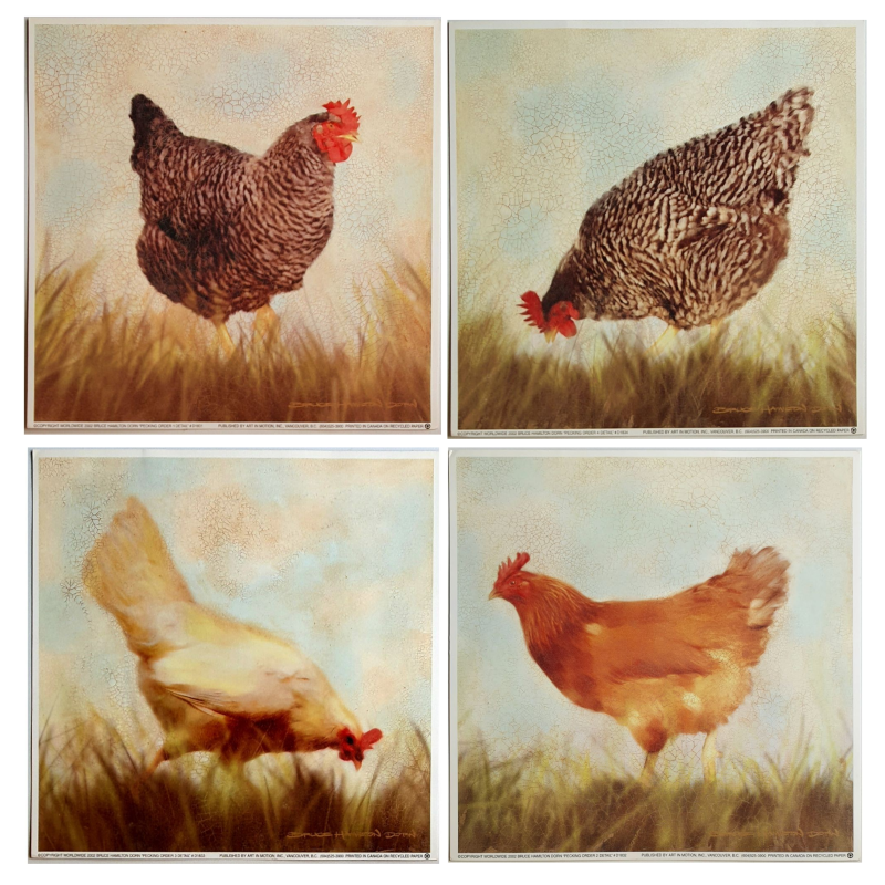 Lot de 4 Cartes simples " Pecking Order " Bruce Hamilton Dorn