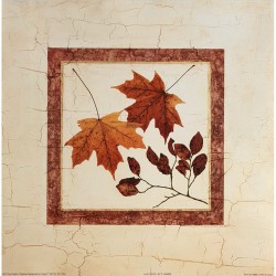 Lot de 2 images " Leaf study I et II" - T.Chaden