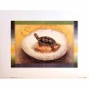 Lot de 3 images « Pingouin, Tortue, Canard »