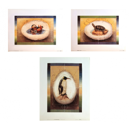 Lot de 3 images « Pingouin, Tortue, Canard »