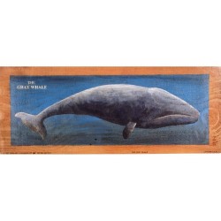 Lot de 3 Images de Baleine