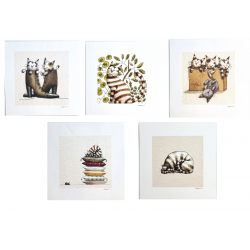 Lot de 5 cartes "chat " -...