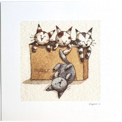 Lot de 5 cartes "chat " - Virginie Cachau