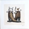 Lot de 5 cartes "chat " - Virginie Cachau