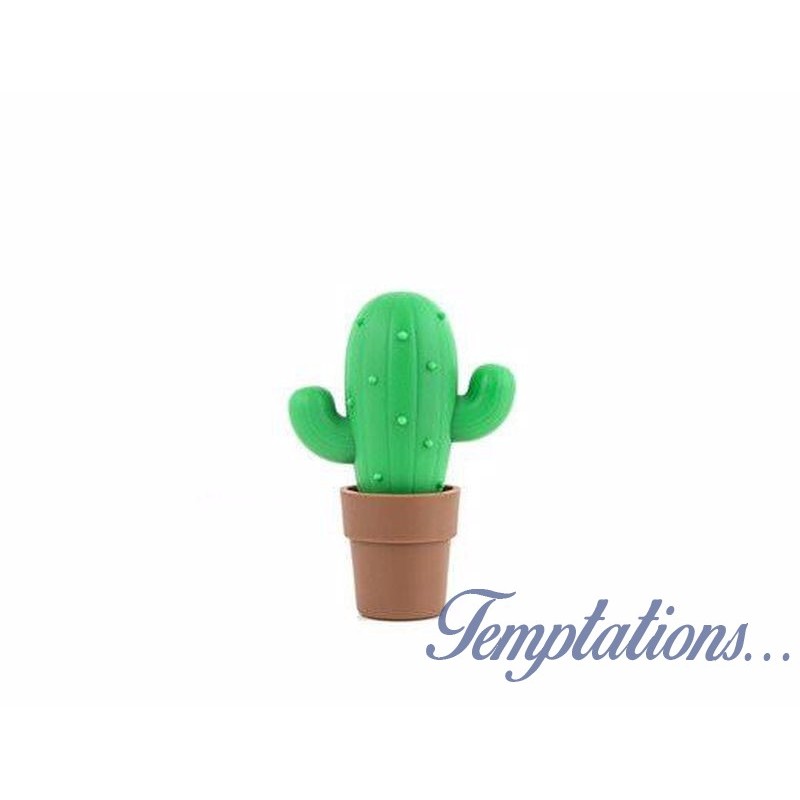 Kit oeuf cactus prêt à pousser