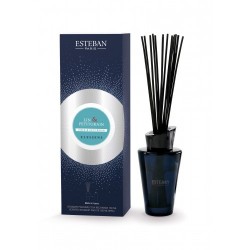 Diffuseur de voiture rechargeable Lin & Petitgrain - Estéban Parfums